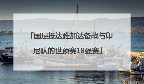 国足抵达雅加达备战与印尼队的世预赛18强赛