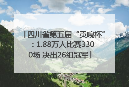 四川省第五届“贡嘎杯”：1.88万人比赛3300场 决出26组冠军
