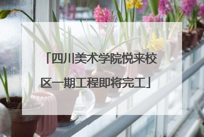四川美术学院悦来校区一期工程即将完工