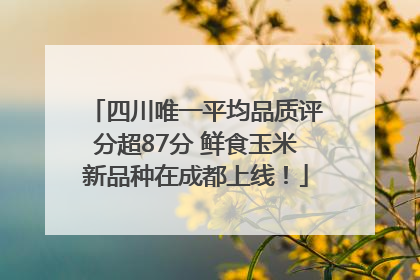 四川唯一平均品质评分超87分 鲜食玉米新品种在成都上线！