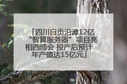 四川自贡沿滩12亿“智算服务器”项目亮相西博会 投产后预计年产值达15亿元