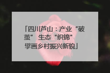 四川芦山：产业“破茧” 生态“织锦” 擘画乡村振兴新貌