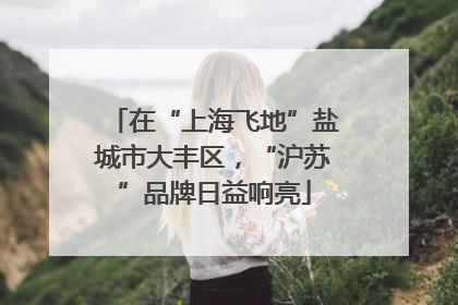 在“上海飞地”盐城市大丰区，“沪苏”品牌日益响亮