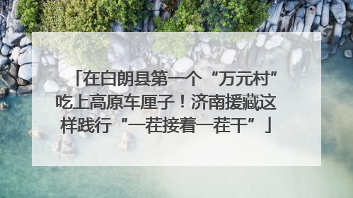 在白朗县第一个“万元村”吃上高原车厘子！济南援藏这样践行“一茬接着一茬干”