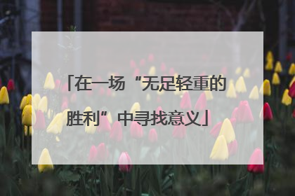 在一场“无足轻重的胜利”中寻找意义