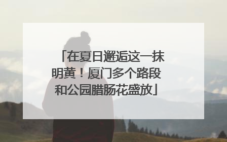 在夏日邂逅这一抹明黄！厦门多个路段和公园腊肠花盛放