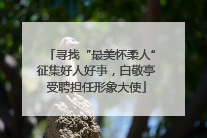 寻找“最美怀柔人”征集好人好事，白敬亭受聘担任形象大使