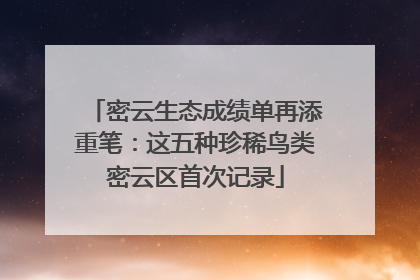 密云生态成绩单再添重笔：这五种珍稀鸟类密云区首次记录