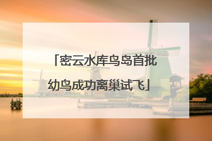 密云水库鸟岛首批幼鸟成功离巢试飞