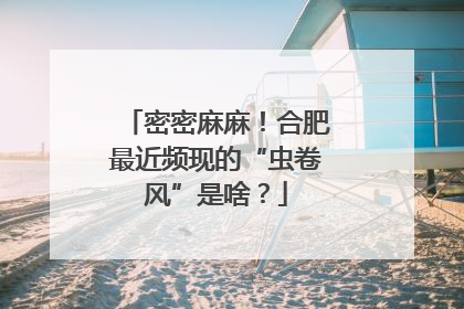 密密麻麻！合肥最近频现的“虫卷风”是啥？