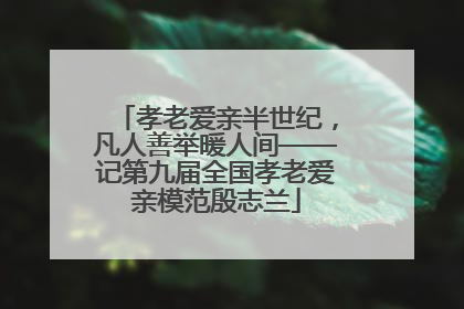 孝老爱亲半世纪，凡人善举暖人间——记第九届全国孝老爱亲模范殷志兰