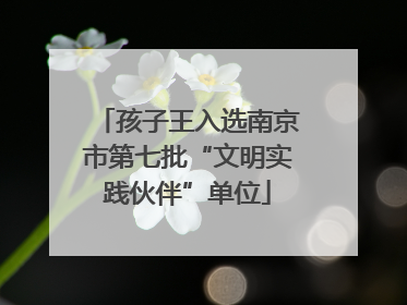 孩子王入选南京市第七批“文明实践伙伴”单位