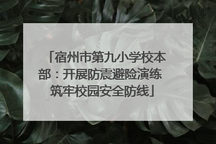 宿州市第九小学校本部：开展防震避险演练 筑牢校园安全防线