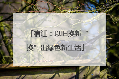 宿迁：以旧换新“换”出绿色新生活