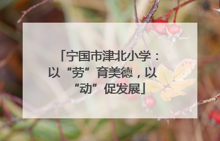 宁国市津北小学：以“劳”育美德，以“动”促发展