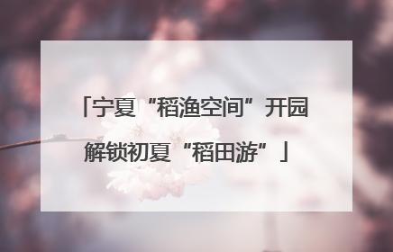 宁夏“稻渔空间”开园 解锁初夏“稻田游”