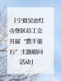 宁夏吴忠红寺堡区总工会开展“携手童行”主题慰问活动