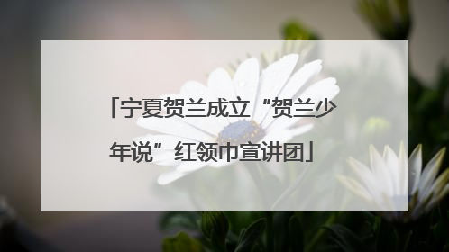 宁夏贺兰成立“贺兰少年说”红领巾宣讲团