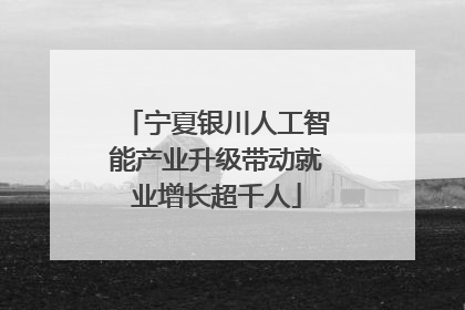 宁夏银川人工智能产业升级带动就业增长超千人