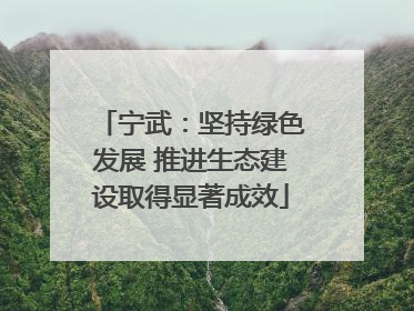 宁武：坚持绿色发展 推进生态建设取得显著成效