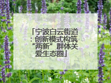 宁波白云街道：创新模式构筑“两新”群体关爱生态圈