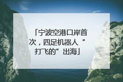 宁波空港口岸首次，四足机器人“打飞的”出海