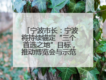 宁波市长：宁波将持续锚定“三个首选之地”目标，推动博览会与示范区互促共进