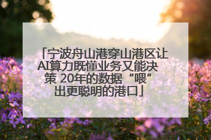 宁波舟山港穿山港区让AI算力既懂业务又能决策 20年的数据“喂”出更聪明的港口