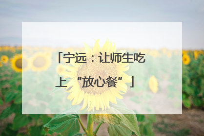 宁远：让师生吃上 “放心餐”