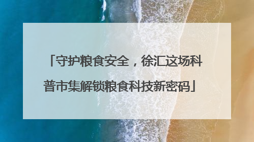 守护粮食安全，徐汇这场科普市集解锁粮食科技新密码