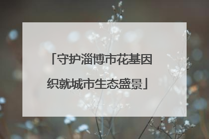 守护淄博市花基因 织就城市生态盛景