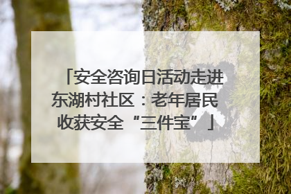 安全咨询日活动走进东湖村社区：老年居民收获安全“三件宝”