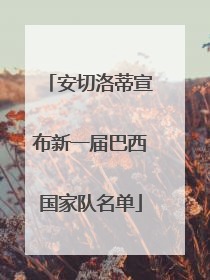 安切洛蒂宣布新一届巴西国家队名单