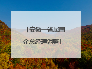 安徽一省属国企总经理调整