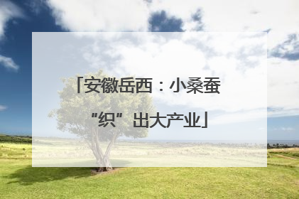 安徽岳西：小桑蚕“织”出大产业