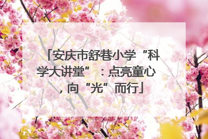 安庆市舒巷小学“科学大讲堂”：点亮童心，向“光”而行