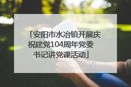 安阳市水冶镇开展庆祝建党104周年党委书记讲党课活动