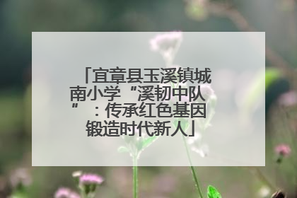 宜章县玉溪镇城南小学“溪韧中队”：传承红色基因 锻造时代新人
