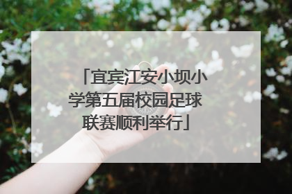 宜宾江安小坝小学第五届校园足球联赛顺利举行