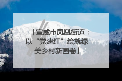 宣威市凤凰街道：以“党建红”绘就绿美乡村新画卷