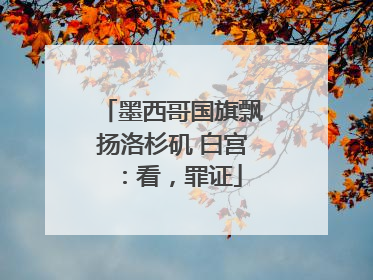 墨西哥国旗飘扬洛杉矶 白宫：看，罪证