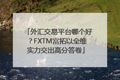 外汇交易平台哪个好？FXTM富拓以全维实力交出高分答卷