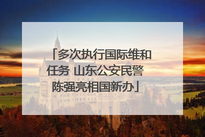 多次执行国际维和任务 山东公安民警陈强亮相国新办