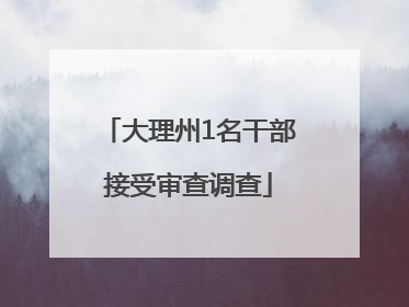 大理州1名干部接受审查调查