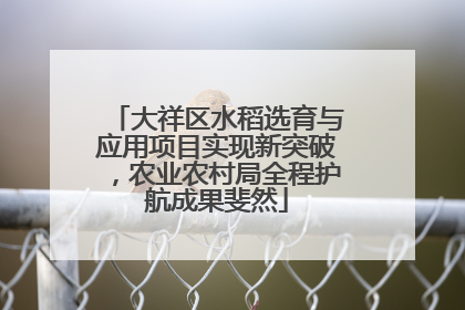 大祥区水稻选育与应用项目实现新突破，农业农村局全程护航成果斐然