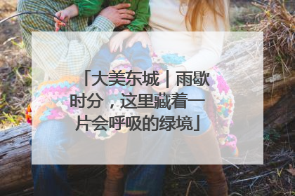 大美东城｜雨歇时分，这里藏着一片会呼吸的绿境