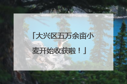 大兴区五万余亩小麦开始收获啦！