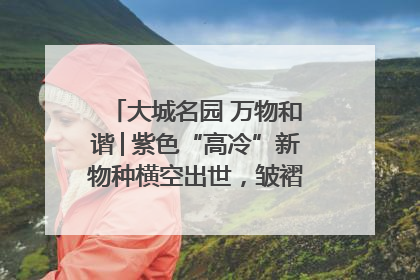 大城名园 万物和谐│紫色“高冷”新物种横空出世，皱褶叶片暗藏进化密码