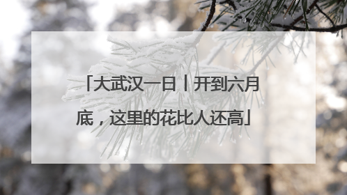 大武汉一日︱开到六月底，这里的花比人还高