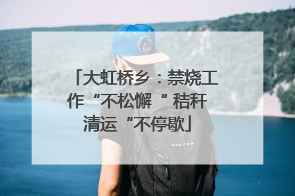 大虹桥乡：禁烧工作“不松懈“ 秸秆清运“不停歇